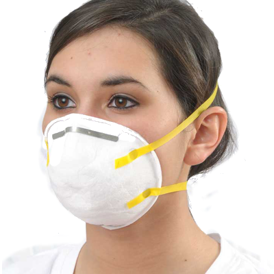 Deluxe N95 Disposable Dust and Mist Respirator